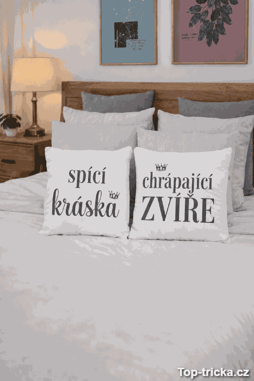 Obrázek produktu 1